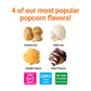 Popcornopolis Gourmet Popcorn Mini Cone Premium 24 Pack - Includes Zebra, Caramel, Cheddar Cheese and Kettle Corn, Gift Cone