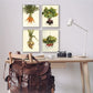 Stupell Industries Kitchen Vegetable Bunches Farm Radish Beets Carrots Onions, Designed by Bonnie Mohr Gray Framed Wall Art, 11 x 14, White